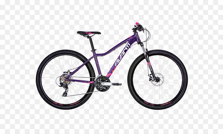 Bicicleta，Bicicleta De Montanha PNG