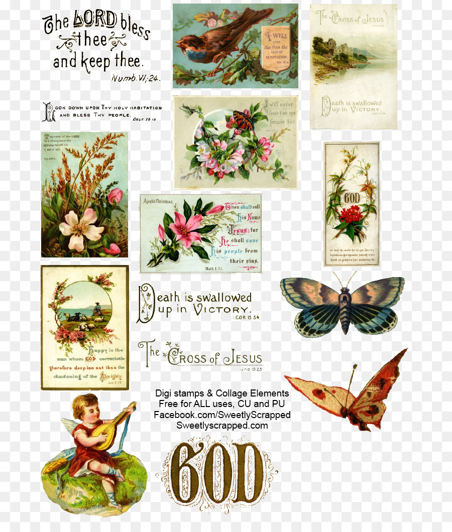 Collage，Design Floral PNG