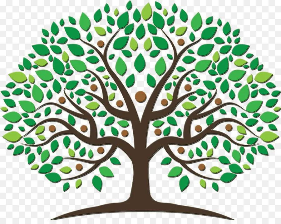 Família，árvore Genealógica PNG