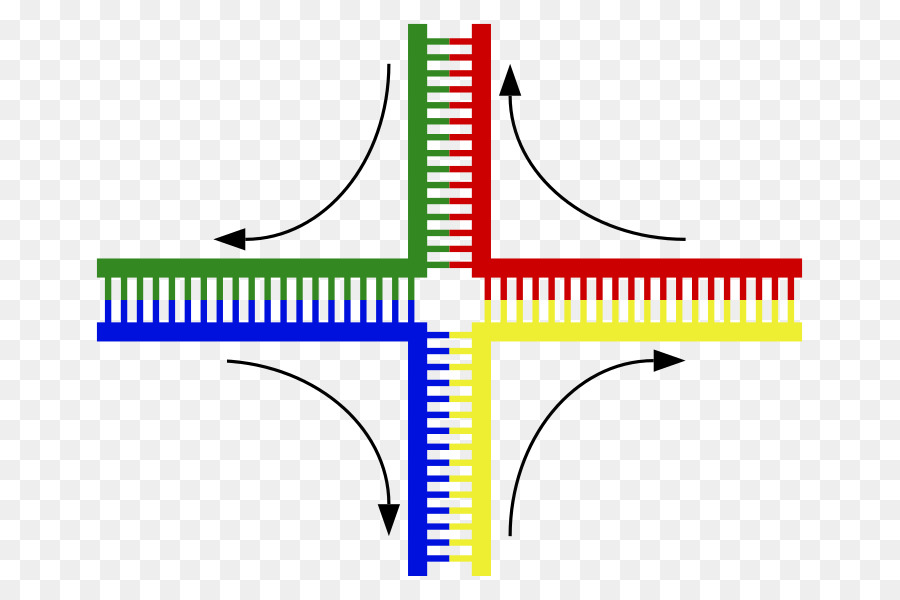 Junção De Holliday，Dna PNG