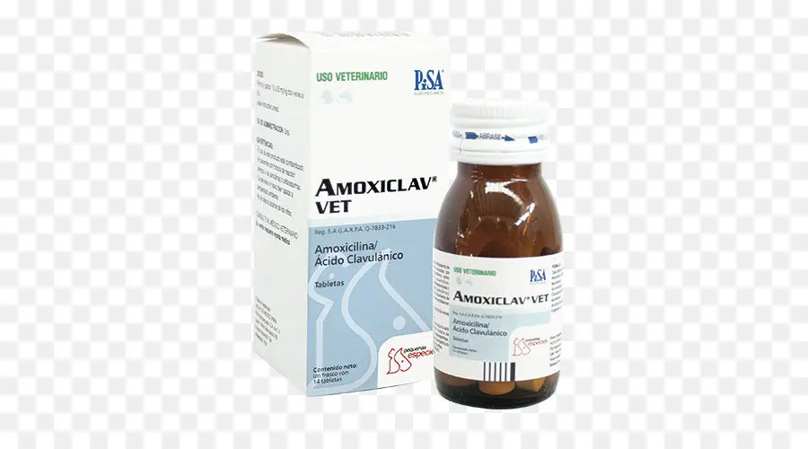 Amoxicillinclavulanic ácido，Clavulânico PNG