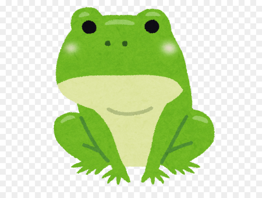 Sapo De Desenho Animado，Anfíbio PNG