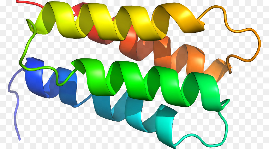 Hélice De Proteína，Molécula PNG