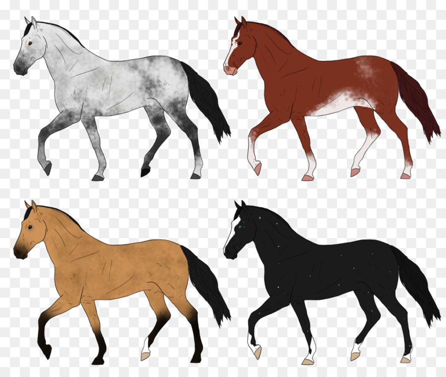 Cavalos，Cavalo PNG