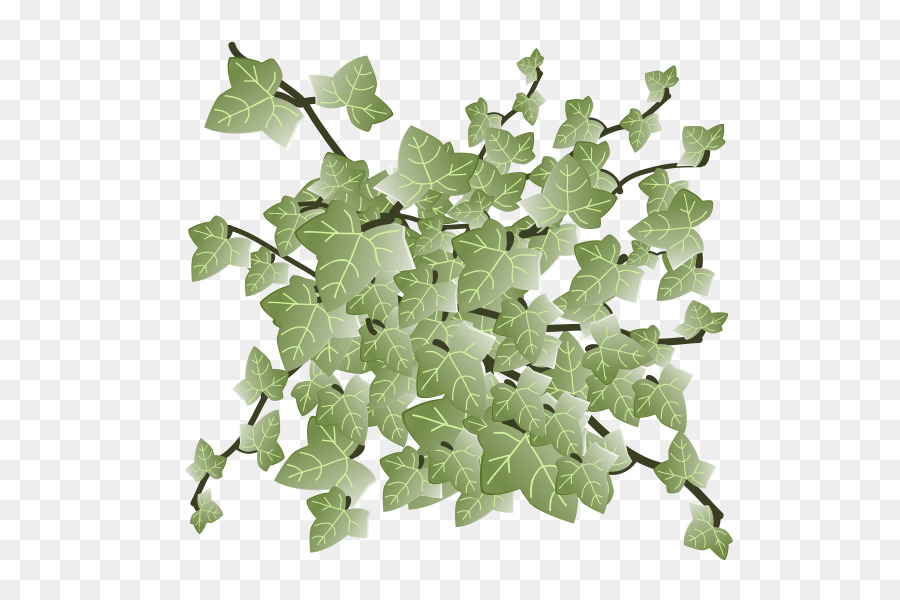 Primavera Verdes，Folha PNG