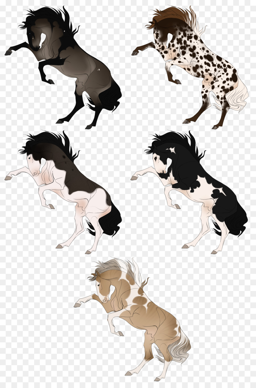 Cavalo，Cachorro PNG