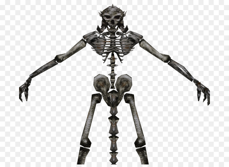 Figurine，Esqueleto PNG