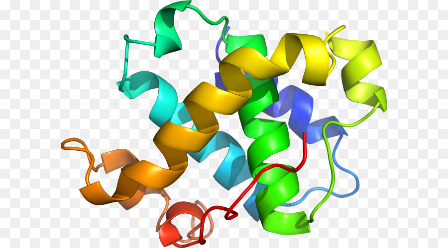 Estrutura Proteica，Biologia PNG