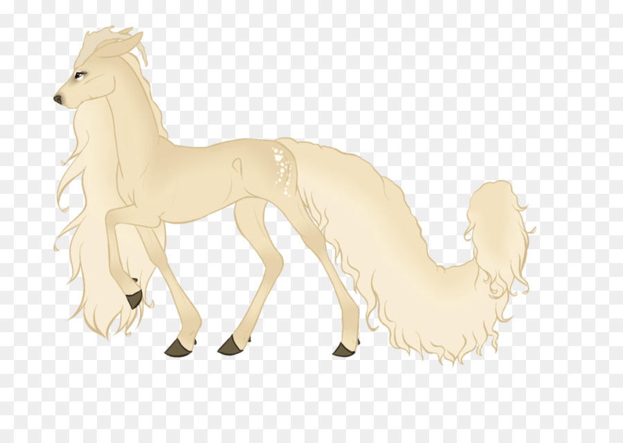 Mustang，Camelo PNG