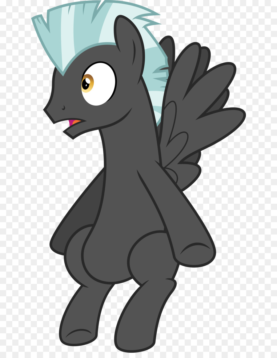 Gato，Cavalo PNG