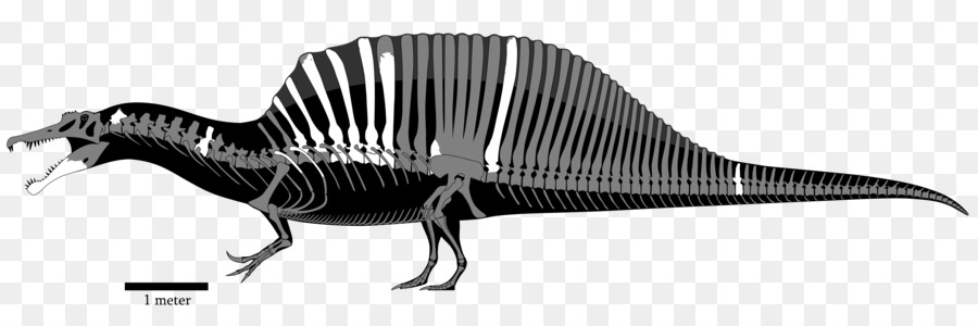 Tiranossauro，Dinossauro PNG