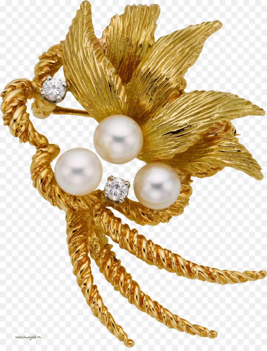 Broche De Ouro，Pérolas PNG