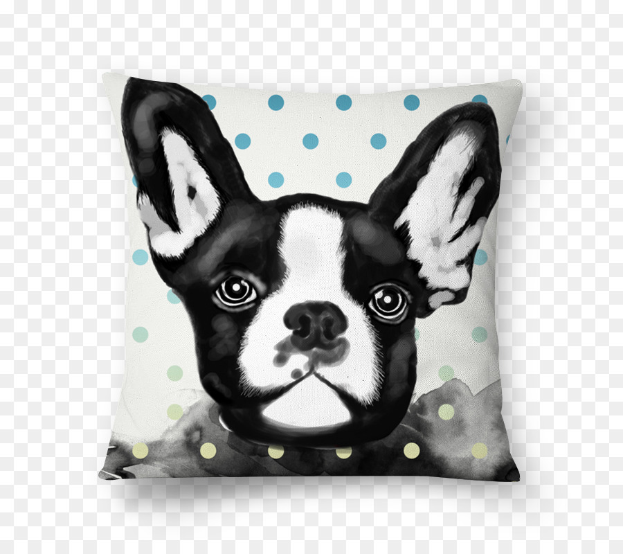 Boston Terrier，Almofada PNG