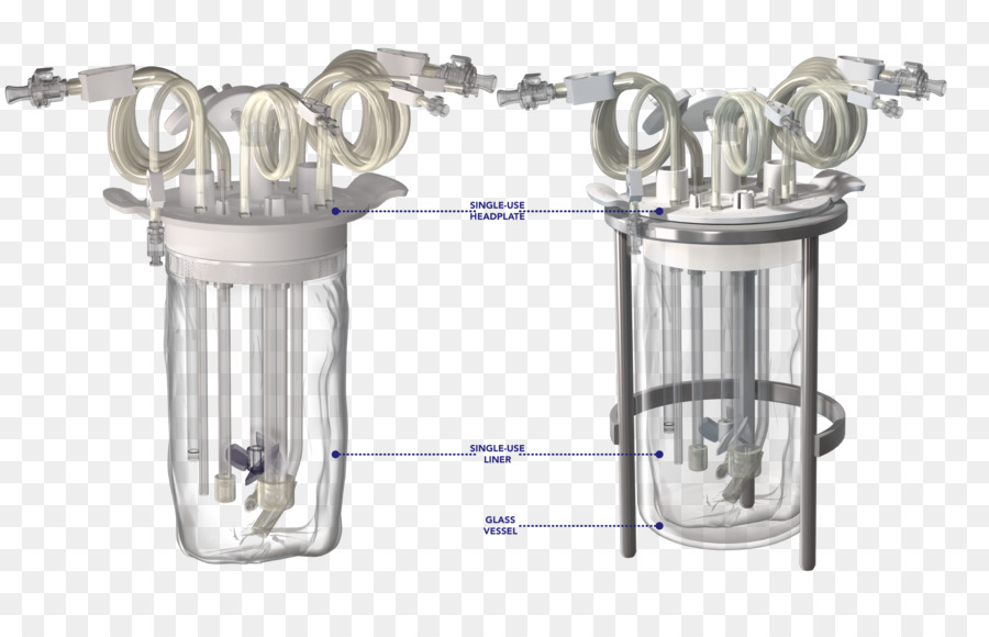 Bioprocessamento Cimeira De 2018，De Bioprocessos PNG