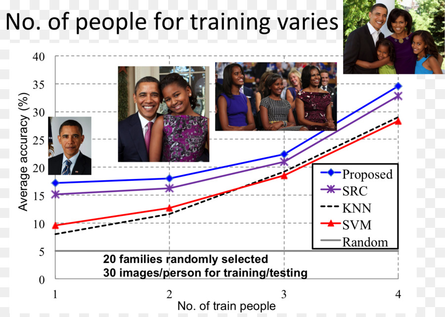 Família，Organização PNG