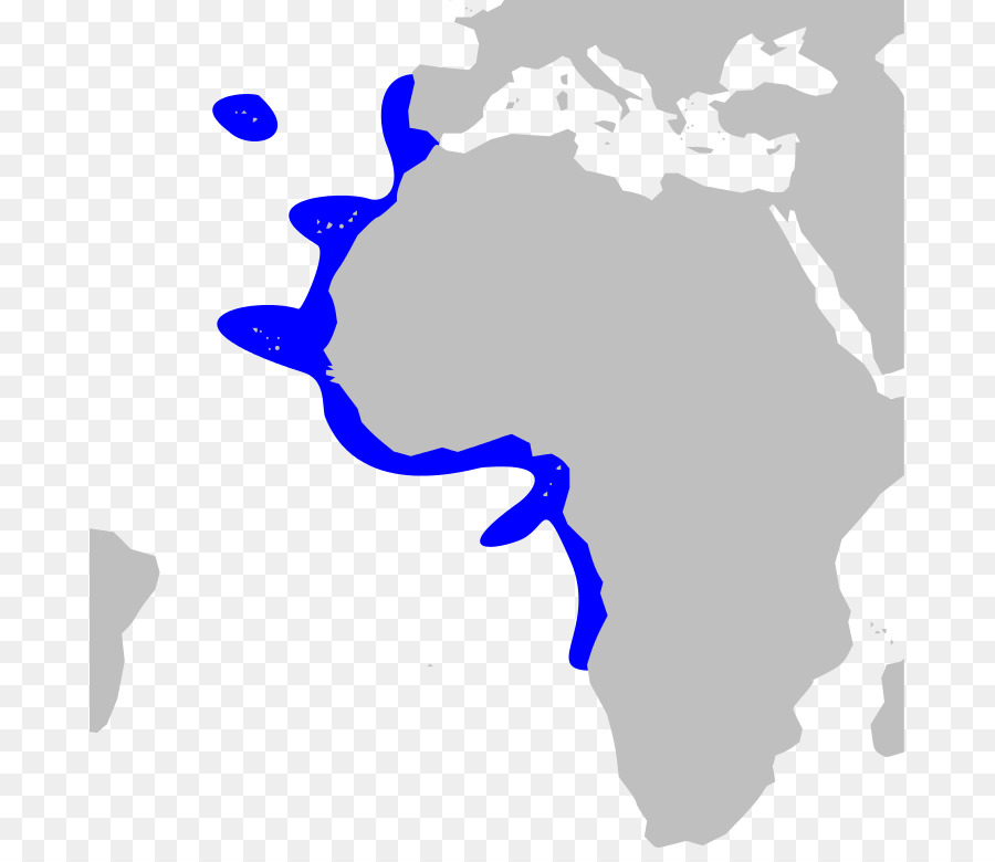 Polônia，África Do Sul PNG