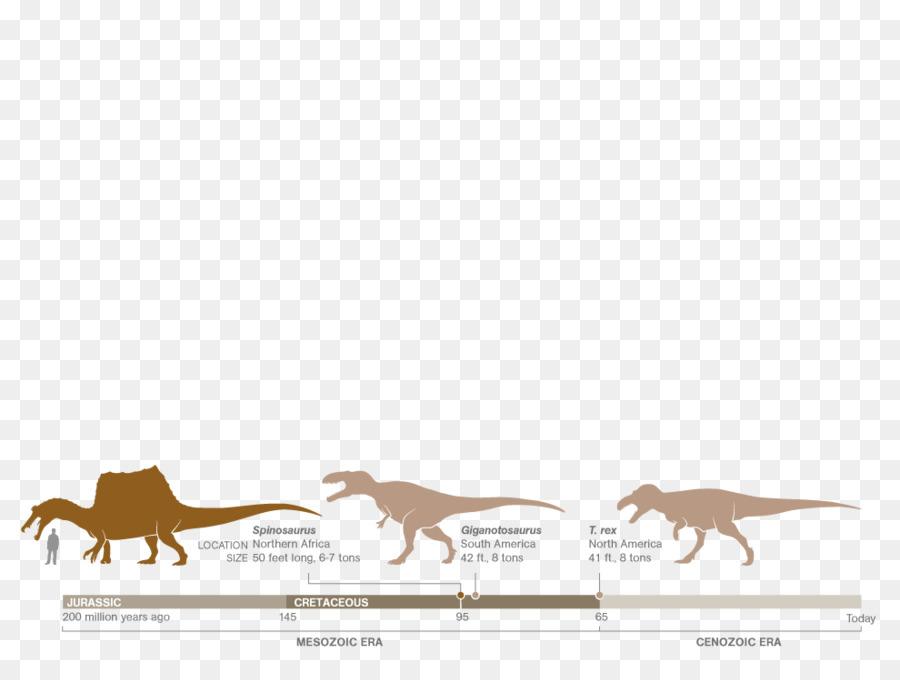 Spinosaurus，Giganotosaurus PNG