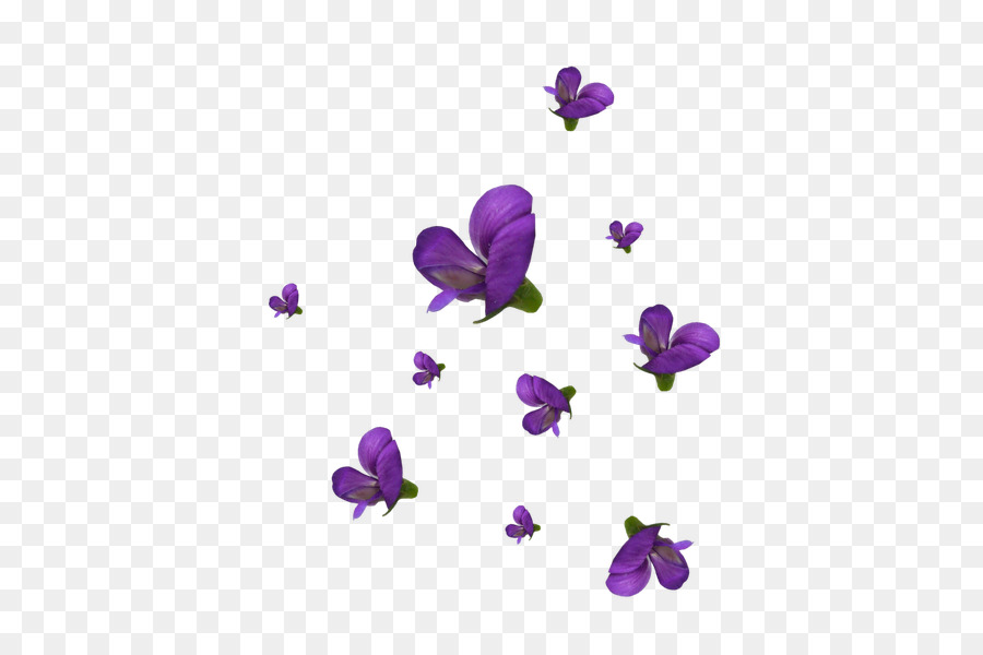 Violeta，Flores De Corte PNG