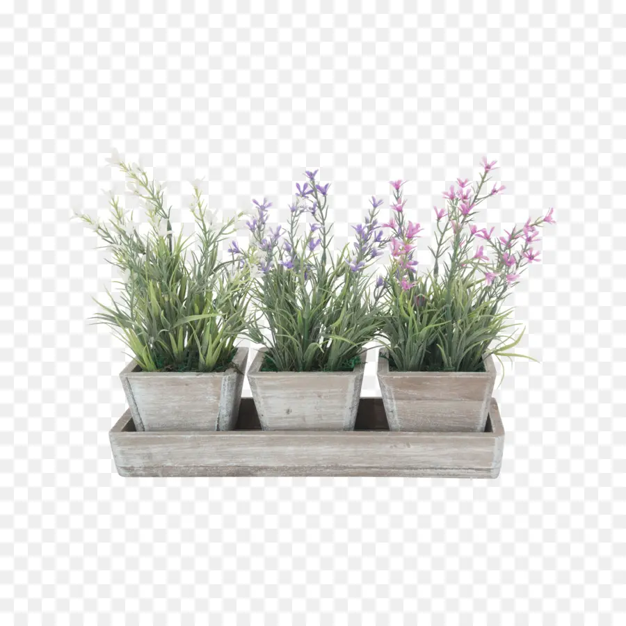 Vasos De Plantas，Flores PNG