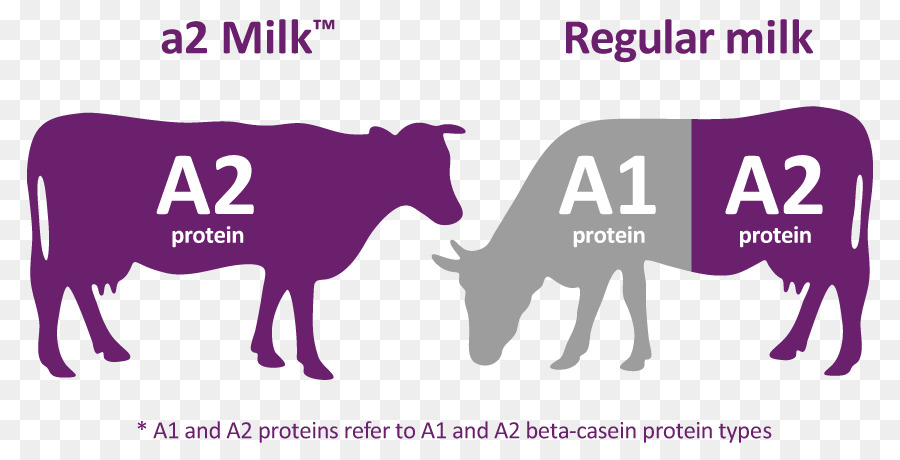 Leite A2，Laticínio PNG