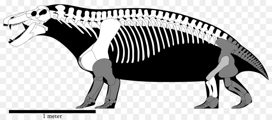 Tiranossauro，Yutyrannus PNG