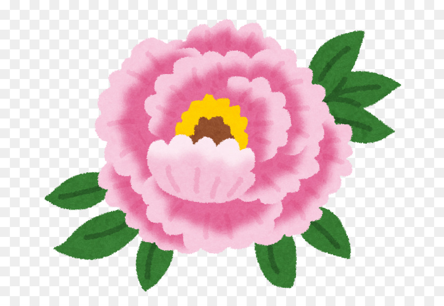 Flor Rosa，Florescer PNG