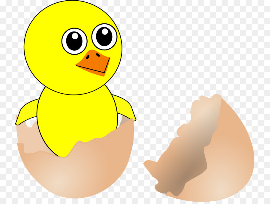 Frango，Ovo PNG