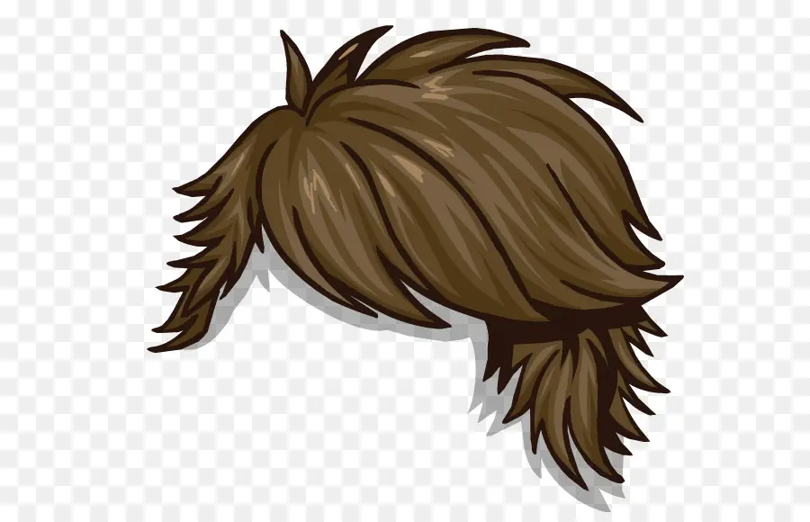 Cabelo，Marrom PNG