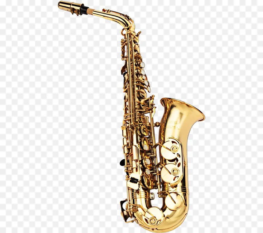 Saxofone，Saxofone Alto PNG