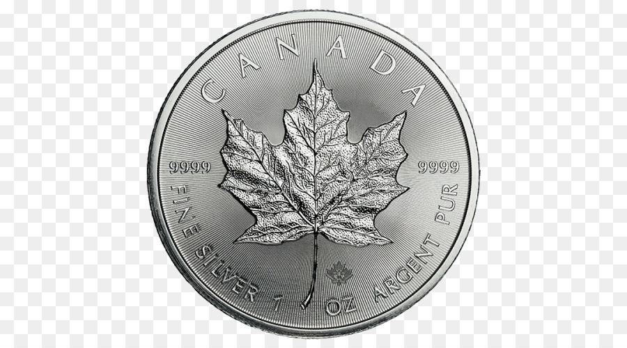 Canadá，Canadense De Prata Maple Leaf PNG