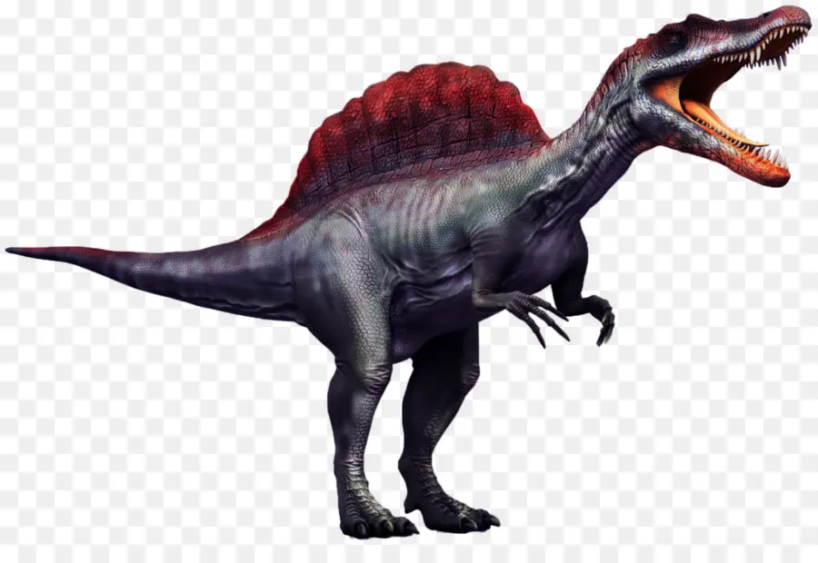 Spinosaurus，Tiranossauro PNG