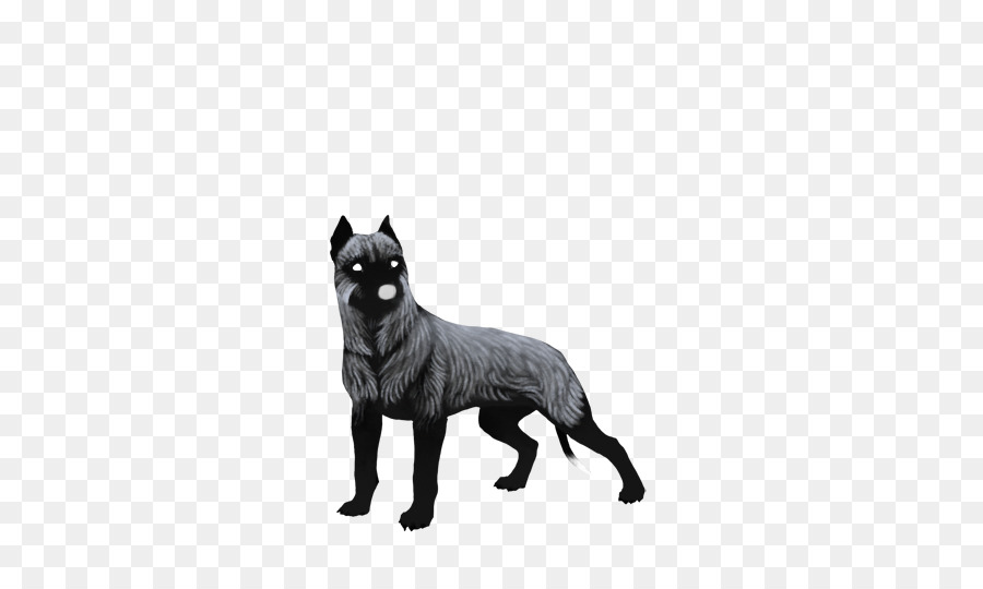 Raça Do Cão，Schipperke PNG