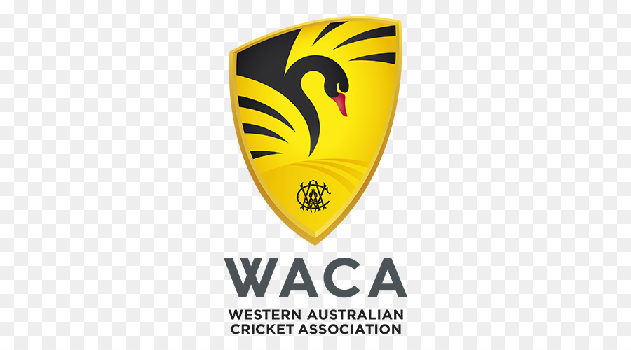 Logotipo Da Waca，Grilo PNG