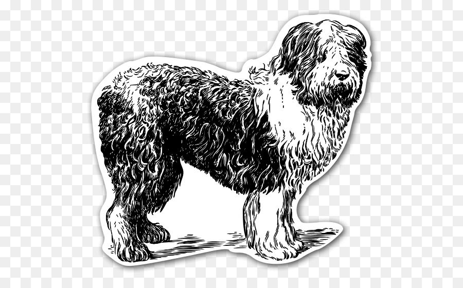 Old English Sheepdog，Shetland Sheepdog PNG