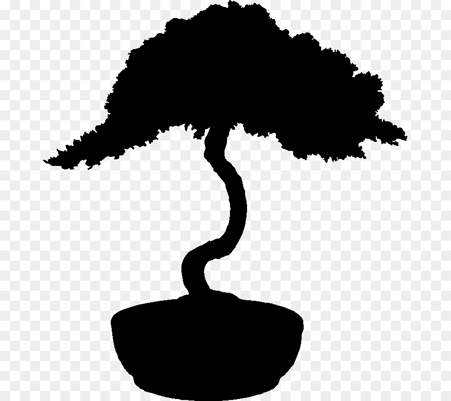 Árvore Bonsai，Miniatura PNG