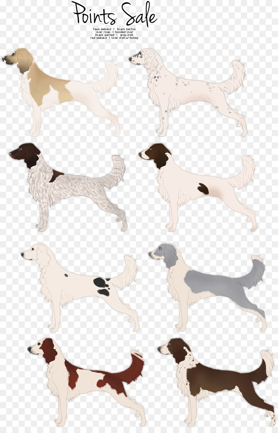 Raça Do Cão，Cachorro PNG