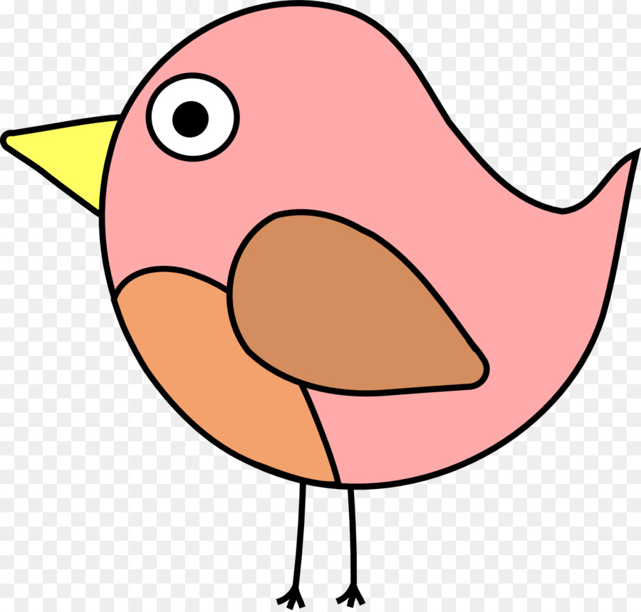 Aves，Desenho PNG