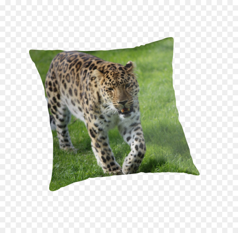 Leopard，Jaguar PNG