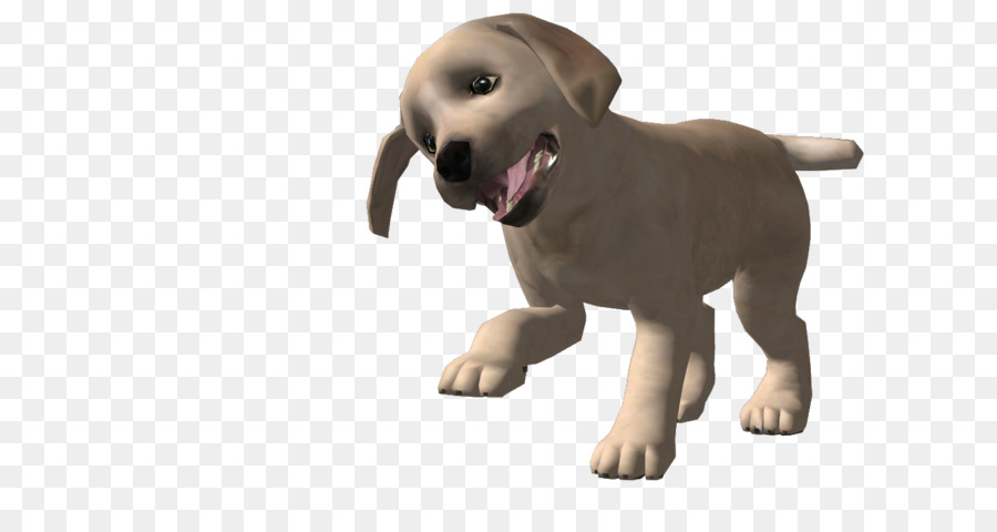 Labrador Retriever，Filhote De Cachorro PNG