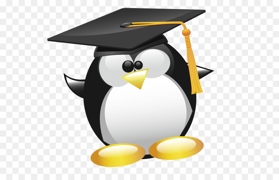 Pinguim De Formatura，Boné PNG