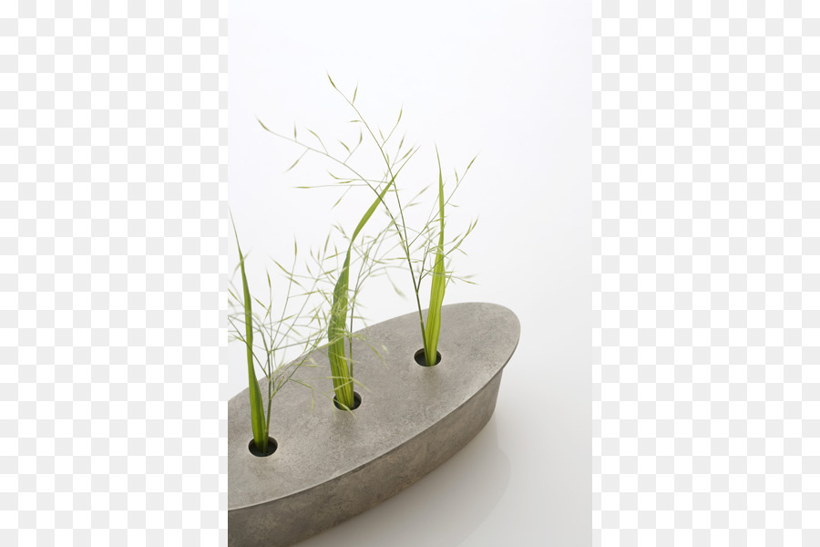 Gramíneas，Flowerpot PNG