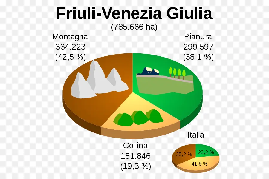 Gráfico De Pizza，Dados PNG