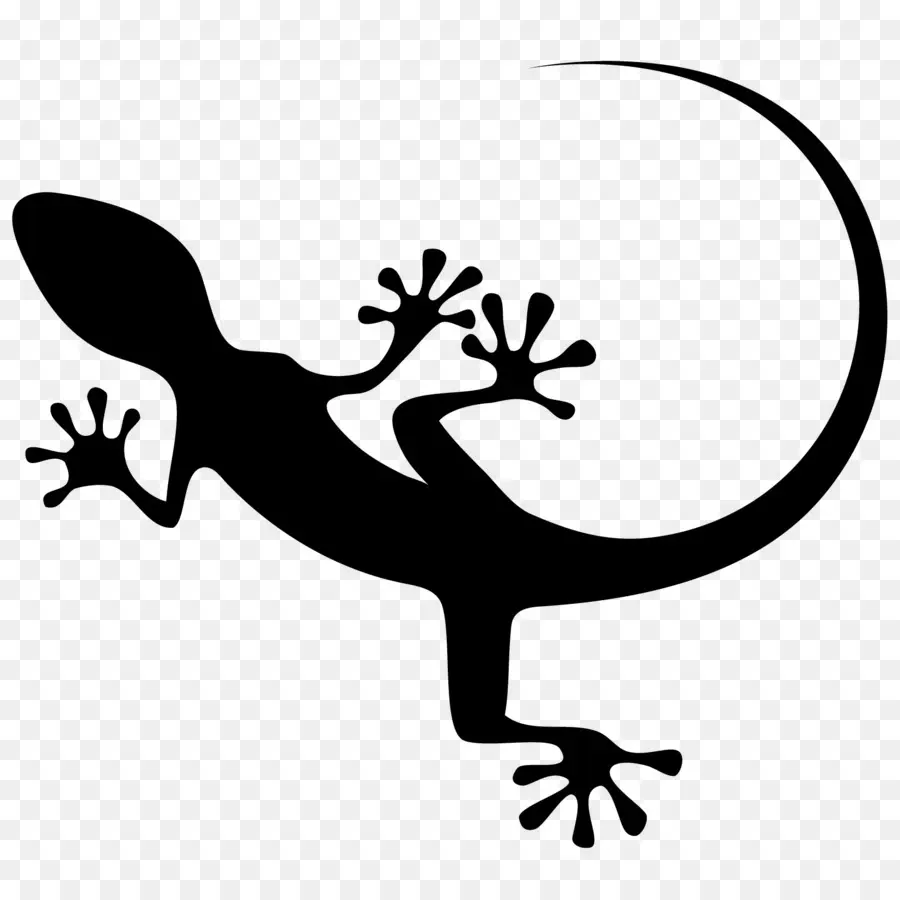 Lagarto，Répteis PNG