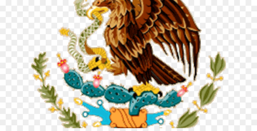 Bandeira Do México，Cidade Do México PNG
