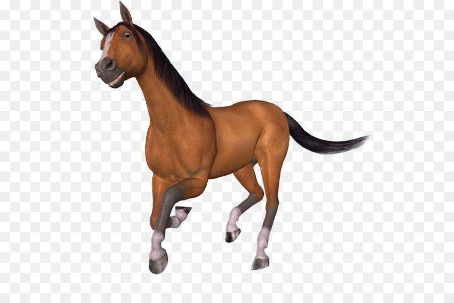 Cavalo De Brinquedo，Cavalo PNG