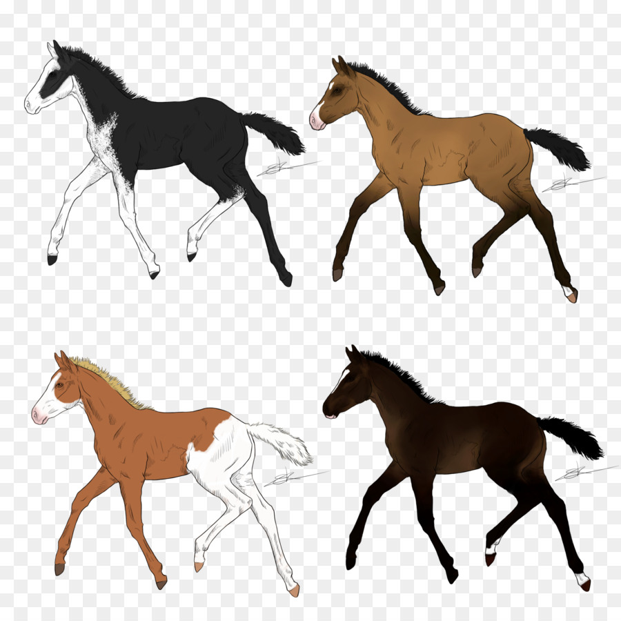 Cavalos，Correndo PNG