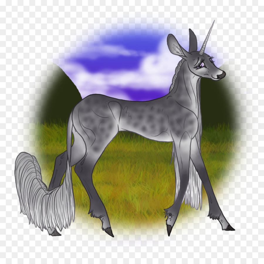 Deer，Camelo PNG