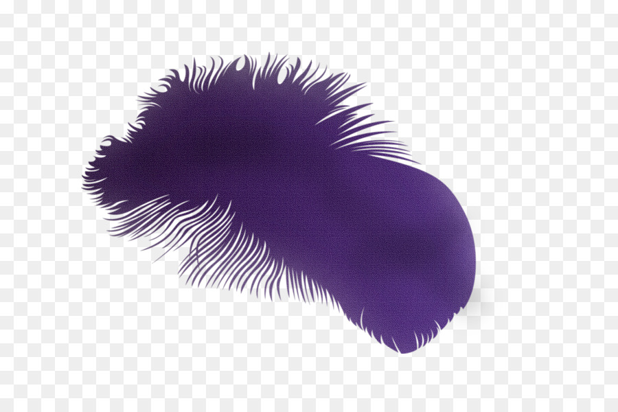 Pena，Roxo PNG