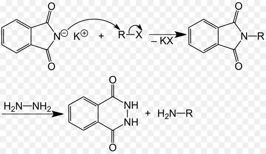 Potássio Ftalimida，Gabriel Síntese PNG