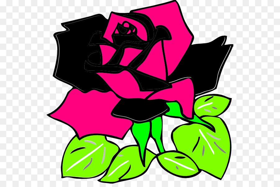 Black Rose，Rosa PNG